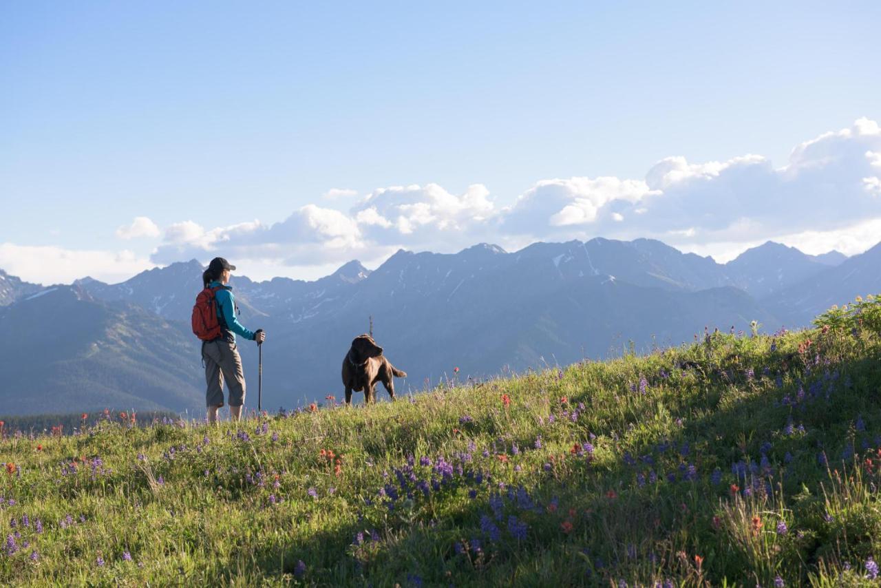 Lift House Lodge, Pet Friendly Studio Condo Vail Buitenkant foto